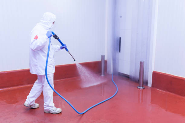 Best Dumpster Area Cleaning  in Mountain Lakes, NJ