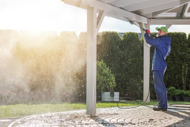 Best Driveway Pressure Washing  in Mountain Lakes, NJ
